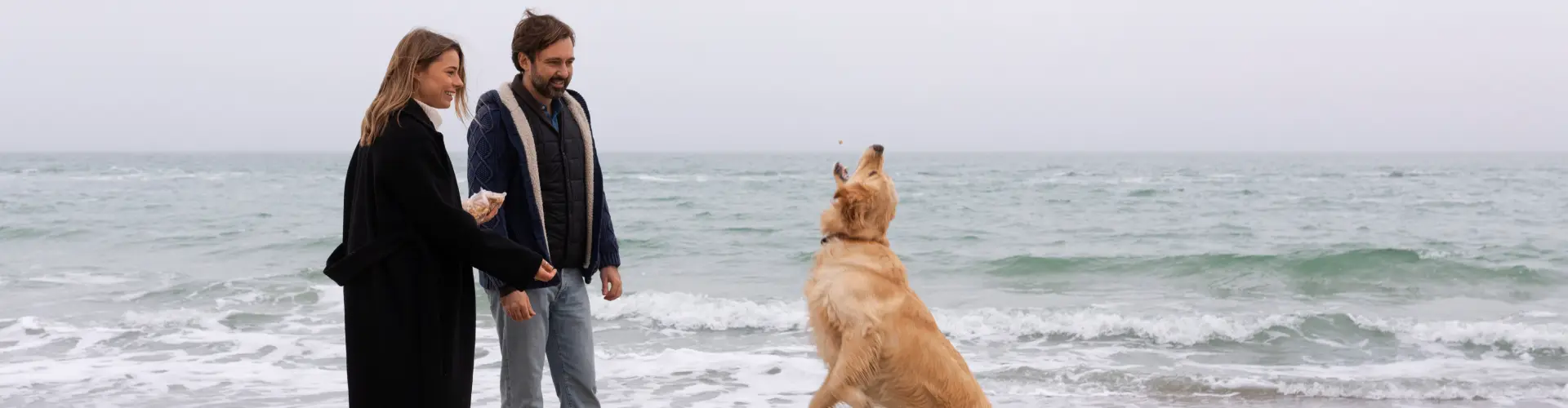 A couple on a misty grey beach with a golden retriever sitting in the wet sand facing them