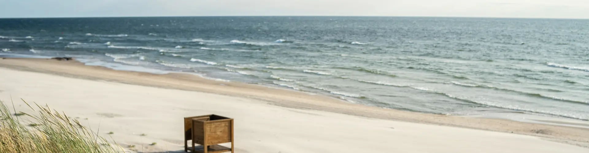 A wide empty beach with a single wooden planter box on the sand and dune grass in the foreground