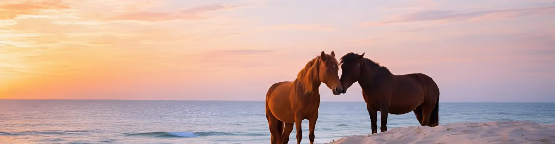 Two wild horses standing nose to nose on the sand under a pink and blue dawn sky