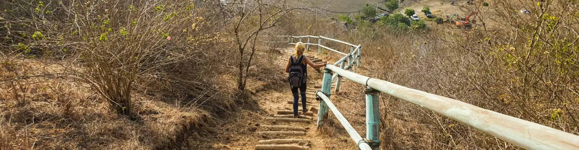A walker on a narrow boardwalk trail winding through low scrub and bare trees