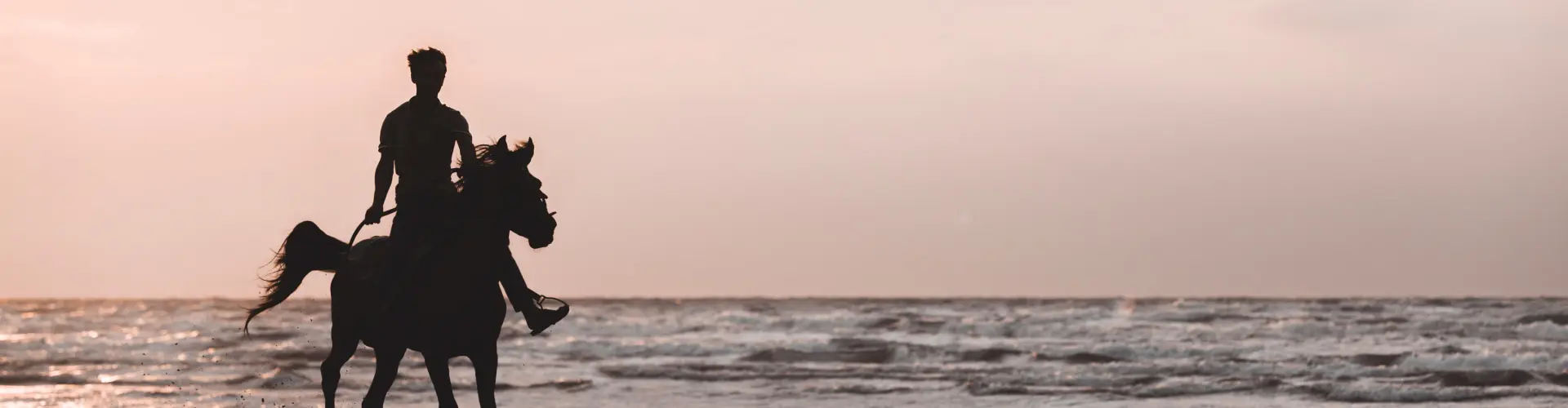 A rider on horseback silhouetted against a pale pink sky at the edge of the surf